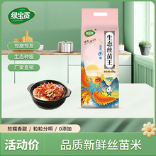 2025������؈�����������׳��L�����׽z��10��������׵��������