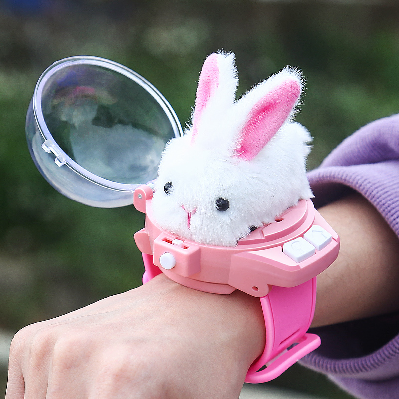 Cross-Border Popular Children's Mini Watch Remote Control Car 2.4g Alloy Car Plush Remote Control Rabbit Car Toy Wholesale