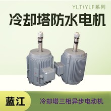 冷却塔三相异步电动机YLT180L-6-15KW 冷却塔用电机