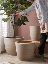 ��a�ش�̖�մɻ���N��lؔ���ڏ�50cm40�����Ԙ�ͥԺ�@�ֻ���