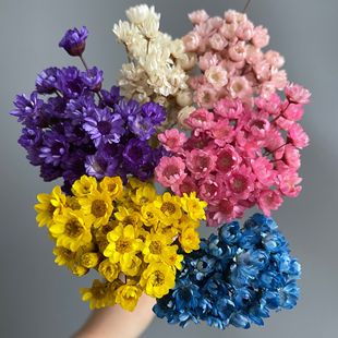 ����С�r��̫ꖻ�����С�ǻ��滨�ɻ��������^DIY��ָ�����ϰ�