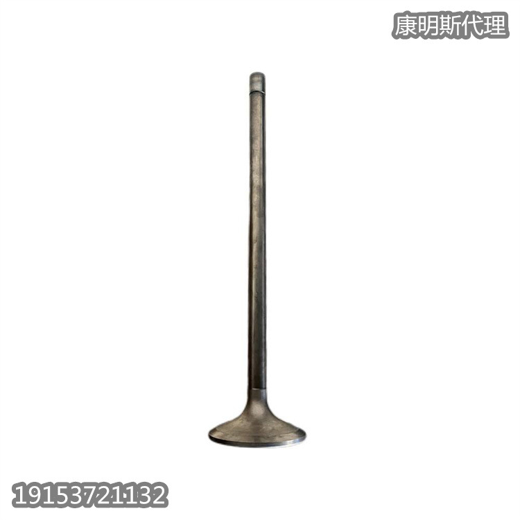 进口机械配件 用于久保田发动机修理件进气阀1G686-13110