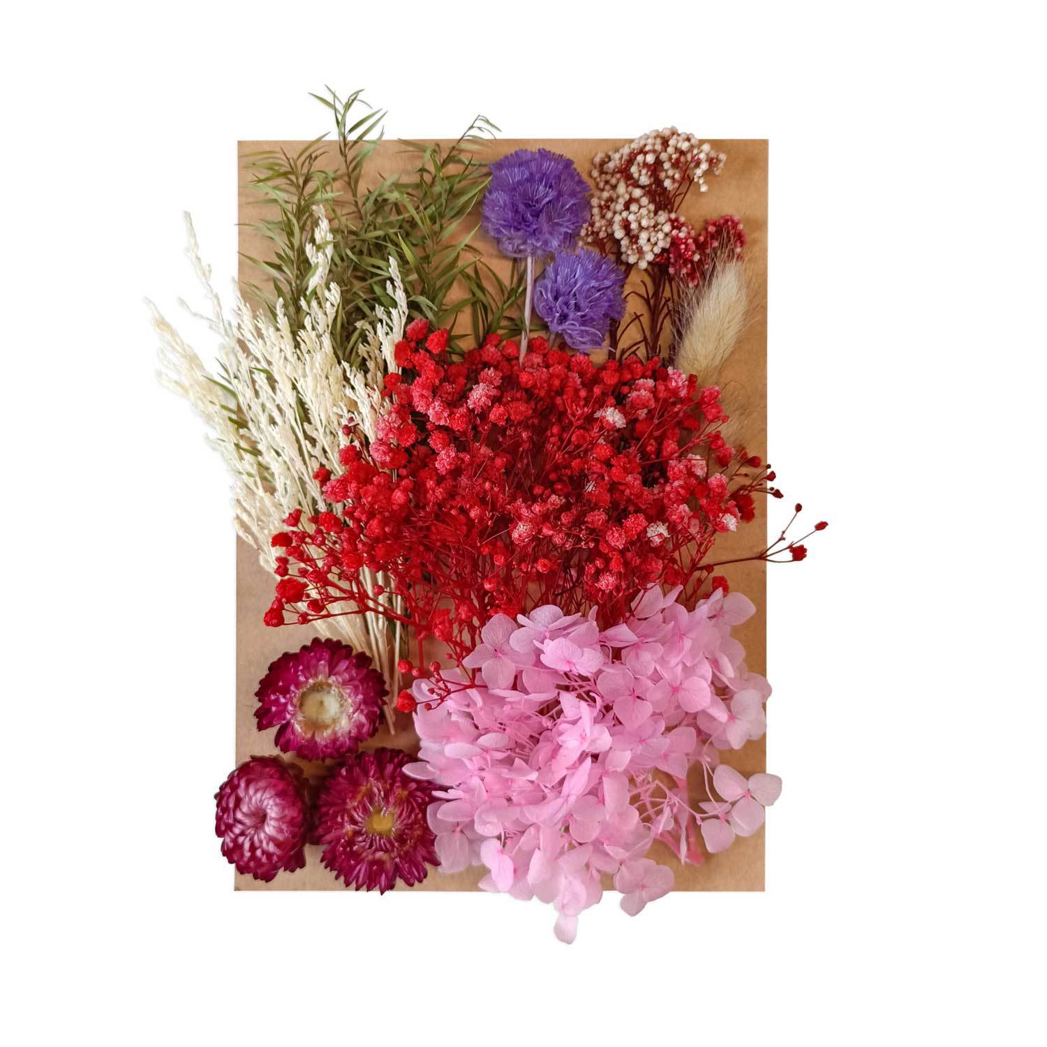 Flor seca flor eterna marco de fotos en relieve paquete de material combinación paquete de flores aromaterapia ventilador A5 bolsa de fábrica al por mayor transfronteriza