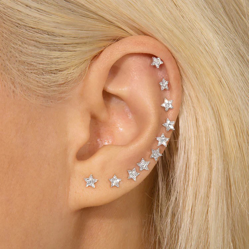 Fashion Star Copper Inlay Zircon Ear Studs 1 Pair