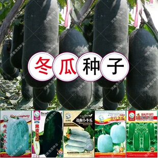 ���l�V�|�ڷ۰�Ƥ�󶬹���һ��⏝M������������С�����߲˷N��