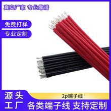 �S�Ҷ��� 2p���Ӿ���Ӿ��B�Ӿ� �ž�PH2.0�t�ھ����z����ĸ