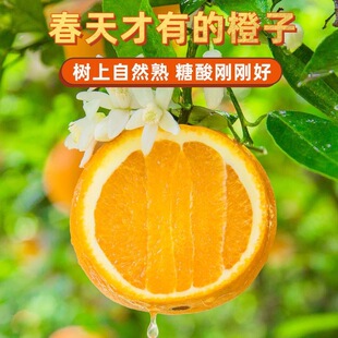 �������wĚ�����ڂ����������rˮ�������Fժ�F�l���۶�֭һ��