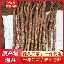 ɽșϽFɽșrɽșl115ǻɽș