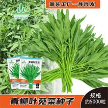 ~{˷NӾG~h˷NѴļ̨Բˈ@Gɫ˷N