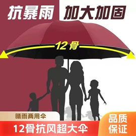 晴雨伞;雨伞;遮阳/太阳伞