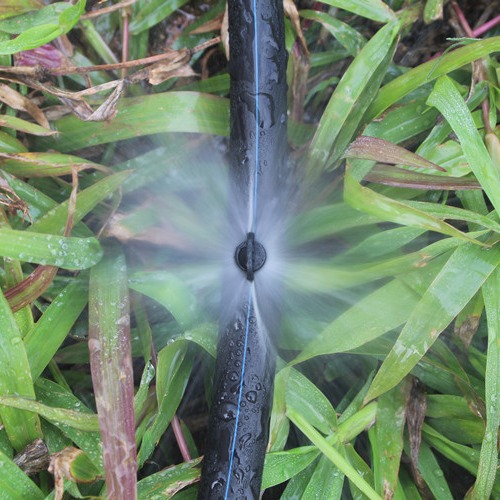 Barbas negras 360 grados simple refracción atomización micro pulverización agujero de pulverización 2.5mm pulverización de micro pulverización de raíz de árboles frutales