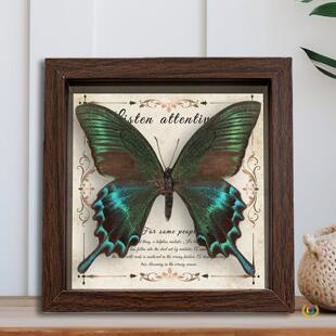 ������˱���� ľ�|�b�DIY�͹����[̨�Ҿ��b����նY��YƷ