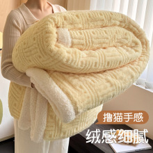 冬季加厚珊瑚绒毛毯牛奶绒盖毯办公室午睡羊羔绒披肩沙发毯小被子