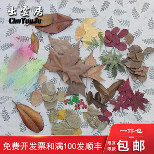 �ɻ��ɘ��~�~���~���ϸɻ��˱����~�bɘ��~��ͩ���ֹ��T�f��ͯ