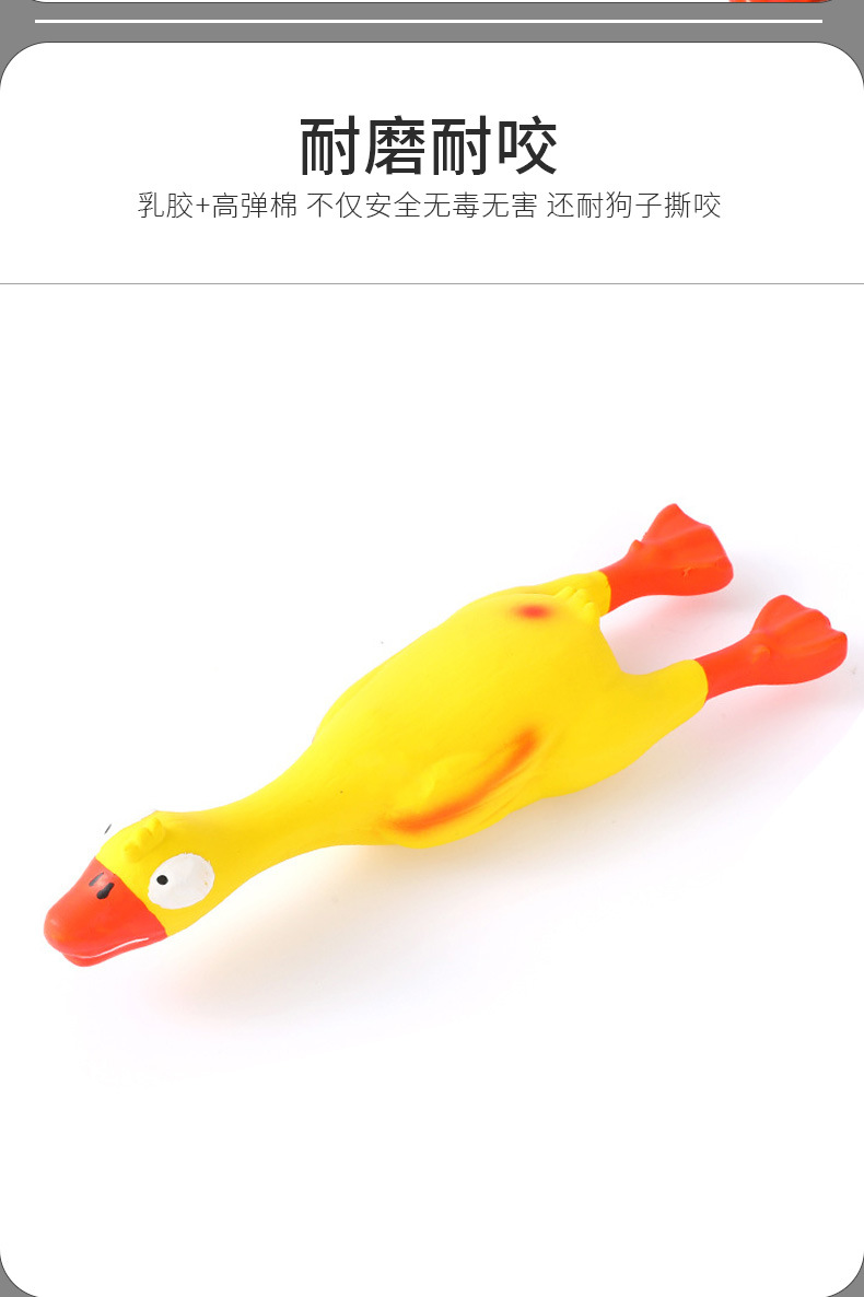 杂货功能性套版_05