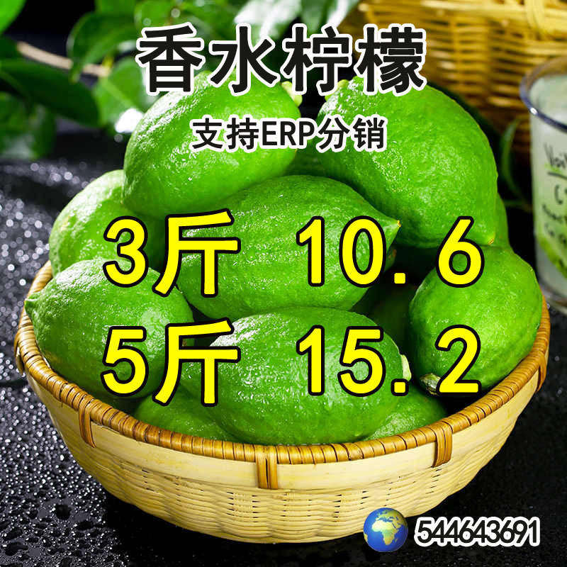 Perfume Lemon 2.5kg Freshly Picked Large Fruit Seasonal Fruit Green Lemon Special for Milk Tea Shops Wholesale Whole Box Perfume Lemon 2.5kg Freshly Picked Large Fruit Seasonal Fruit Green Lemon Special for Milk Tea Shops Wholesale Whole Box