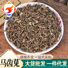 马齿笕干净无尘新货中草药水洗马齿菜麻子菜蚂蚱菜长寿菜五行草