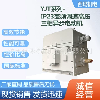 西安西玛电机YJT800-10极1800KW 10KV高压变频交流三相异步电动机