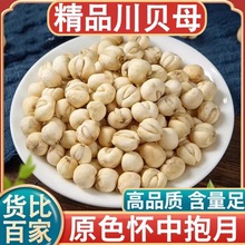 ��Ʒ����ĸҰ��������ҩ�ı�ĸ�۴�����Ұ���ɱ���������ѩ��
