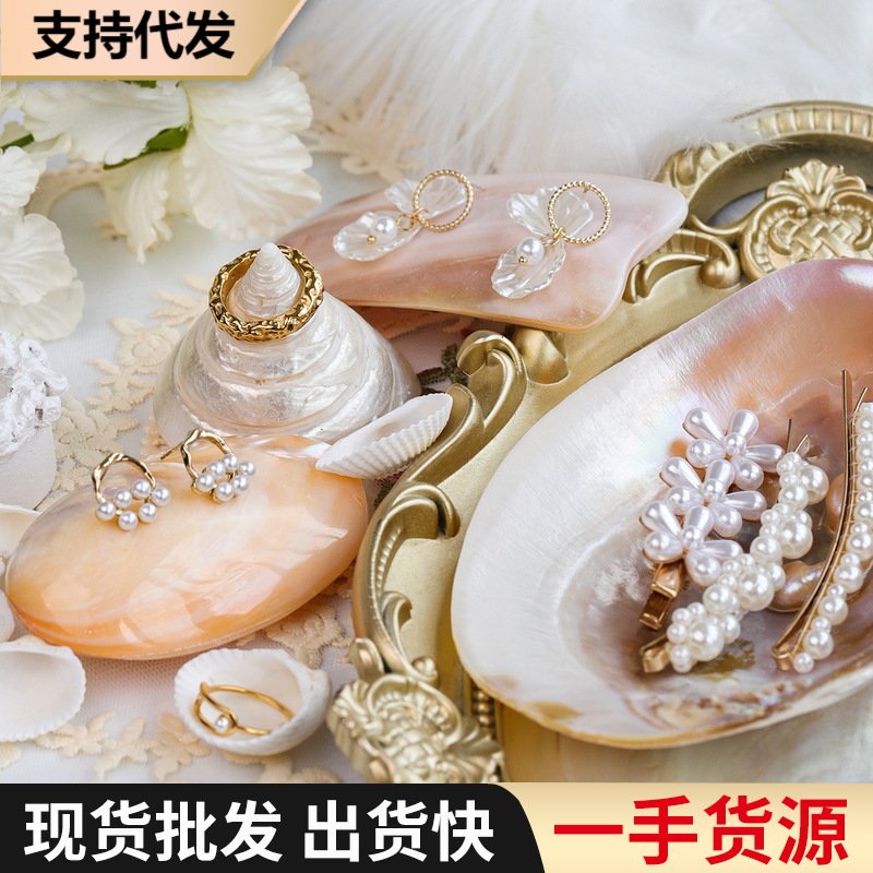 Ins-style natural shell jewelry display plate, decorative accent, accessory, gemstone display tray, seashell photo prop