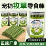 瓶装兔子宠物龙猫