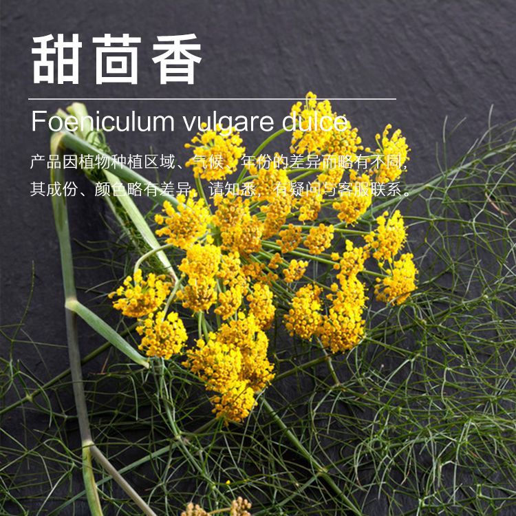 ��Ʒ5ml/ƿ �����㾫��С����Ӧ ��ӭ��ѯ������� ��������