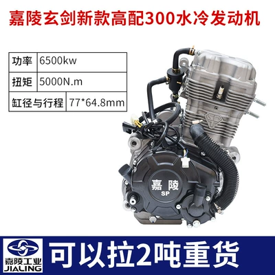 Motorcycle engine and accessories Engine Xuanjian 210 260 - jialing-three-wheel-motorcycle-xuanjian-300-water-cooled-engine