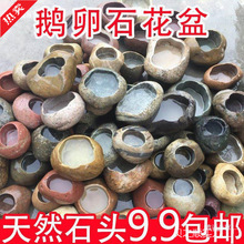 鹅卵石花盆天然石头菖蒲植物多肉复古盆景摆件非水培陶瓷花盆鱼缸
