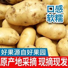 ����SƤ�����F���S��������R����r�aƷ�ԷN�߲��������l