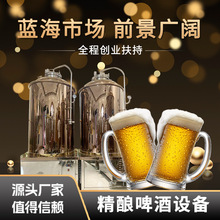 自酿啤酒机不锈钢精酿啤酒啤酒生产线设备发酵啤酒罐大型商用设备