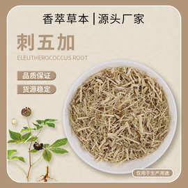 中药材刺五加刺五加根中成药批发零售刺五加皮茶饮源头产地