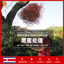 ���տ��ȸ�˹�_�����˹����˹����̎����Ʒ��������2024�®a��