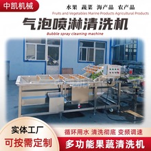 净菜加工气泡清洗机红枣辣椒果蔬气泡清洗机高压喷淋果蔬清洗设备