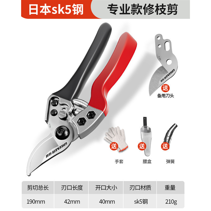 Tijeras florales Artesanía alemana Ramas de frutas Tijeras de ramas Cuchillos Tijeras de poda Bosque verde Jardinería Poda importada Envío gratis