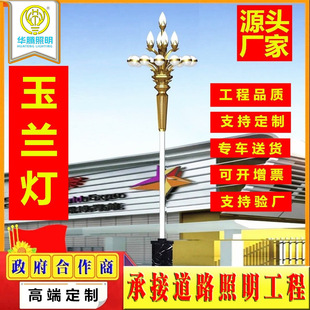 Huateng manufacturers supply 12 meters magnolia lamp eight fork nine fire LED square Chinese lamp municipal engineering landscape lamp