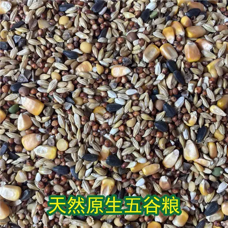 Корм для хомяков, роскошные морепродукты, фрукты, овощи, зерно, принадлежности для хомяков, корм для хомяков, основной корм, сухой специальный червь.