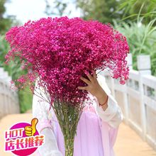 ϸɻҼҾӔ[Obr滨insɻx