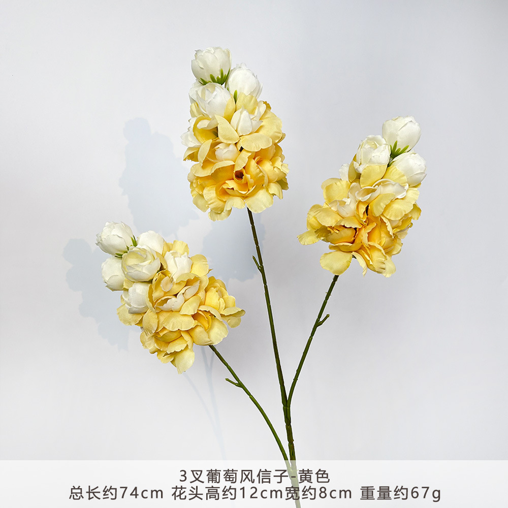 CC-3叉葡萄风信子-橘色