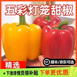 ɽ�|�۹���ʽ����r�A�����ӽ�̫�ս��t�Sˮ����ɽ�߲�ɳ���߲�