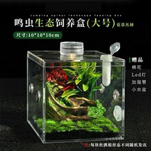 跳蛛盒子竹蛉蛐蛐亚克力甲虫螳螂桌面高透懒人昆虫蝈蝈饲养盒爬虫