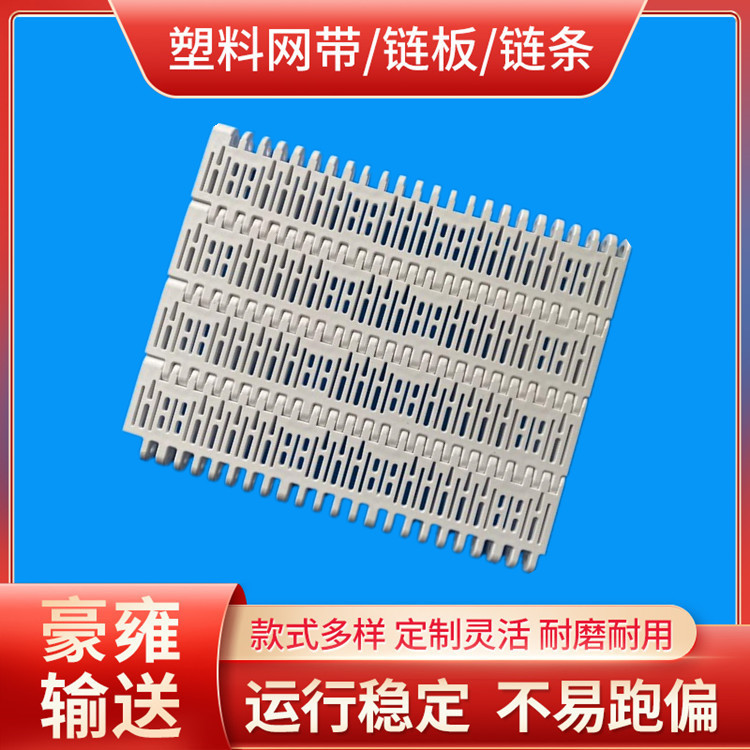 塑料网带蓄电池塑料网带 PP塑料网带 大节距平格型模块式输送带