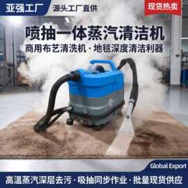 亚强喷抽一体高温蒸汽清洁机商用地毯布艺清洗机五档调温跨境出口