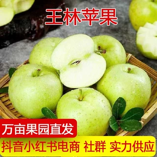 产地直发王林苹果当季现摘脆甜雀斑青苹果青森丑萍果孕妇一件代发