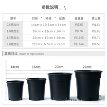 �@ˇ��ɫ�Ӂ���͸�⻨�������҃ȼ��÷Nֲ���̨�¼����⻨�轁��