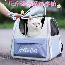 ��������l�¿���p������͸��͸���������y����r��؈������