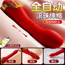 �i�� �t����ڙC�D����s늓����Ӱ��������Ů����ο��Ʒ30/��