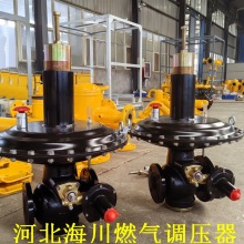 安徽燃气调压箱 煤气减压阀 RTZ燃气调压器 RTJ-50GK燃气减压阀
