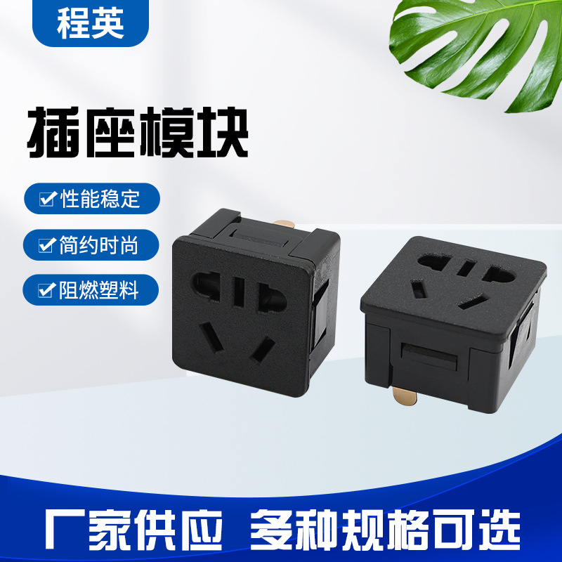 CY-PDU307 插座模块 PDU10A半圆5孔国标模块 开关插座