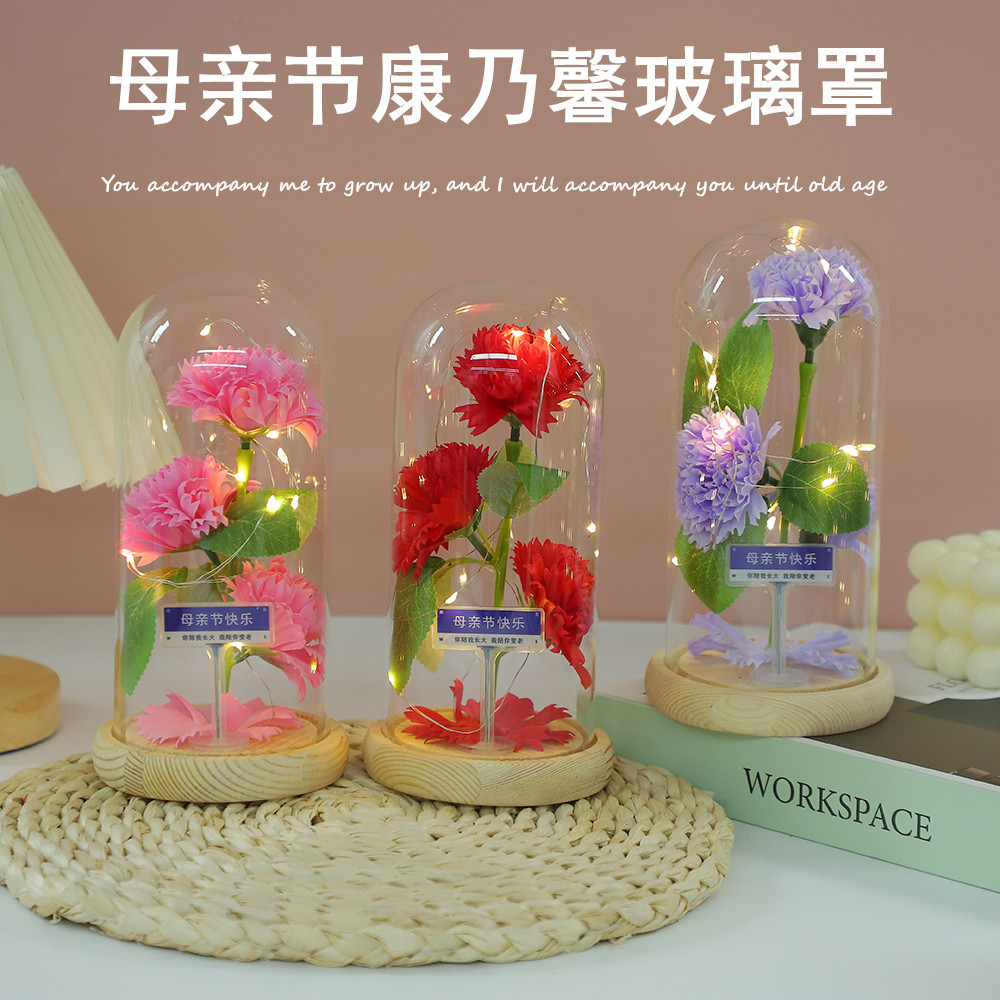 Fábrica al por mayor Flor eterna Cubierta de vidrio Clavel Caja de regalo Flor simulada Decoración de escritorio Día de la madre Regalo para mamá