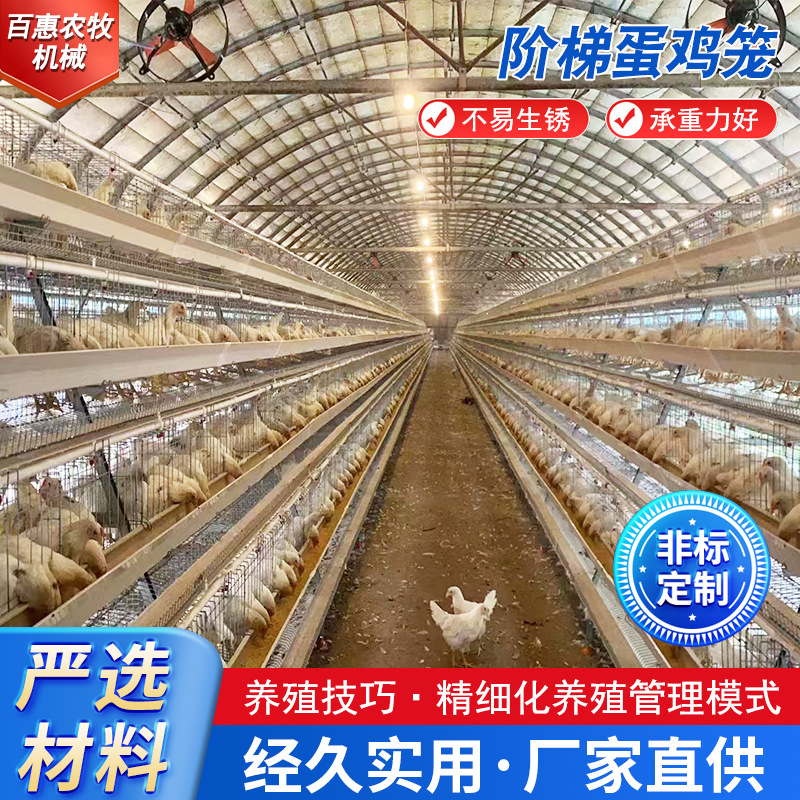 Gaula de huevos escalonada de tres capas de cuatro puertas Gaula de huevos galvanizado anti-oxidante equipos de cría de fábrica de ventas directas sin preocupaciones